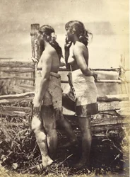 Estudio maorí, c.1870